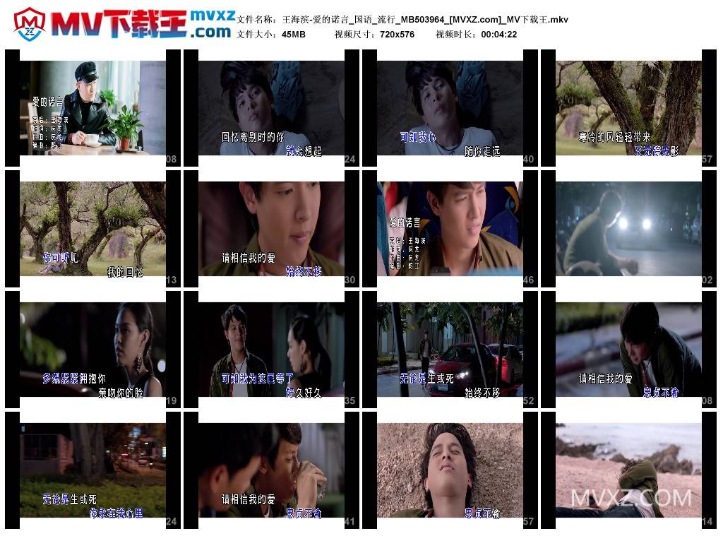 王海滨-爱的诺言_国语_流行_MB503964